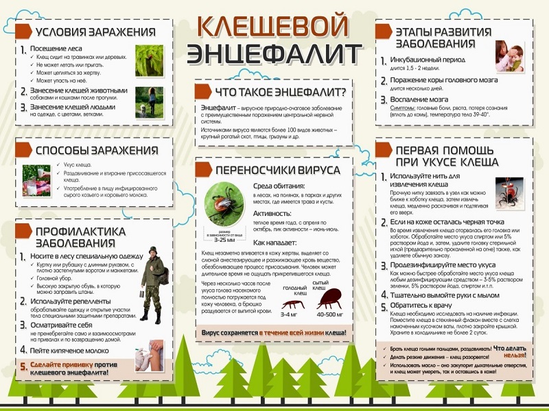 Об эпидемиологической ситуации по инфекциям, передающимися клещами.