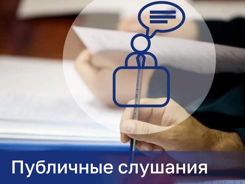 Проведение публичных слушаний.