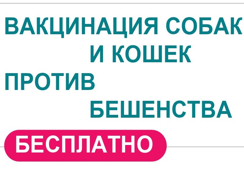 Профилактическая вакцинация собак и кошек против БЕШЕНСТВА.