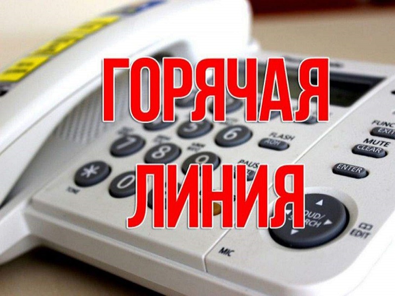 О проведении горячей линии по вопросам детского отдыха, качества и безопасности детских товаров.