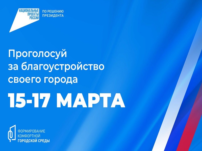 Проголосуй за благоустройство своего Города 15 - 17 марта.